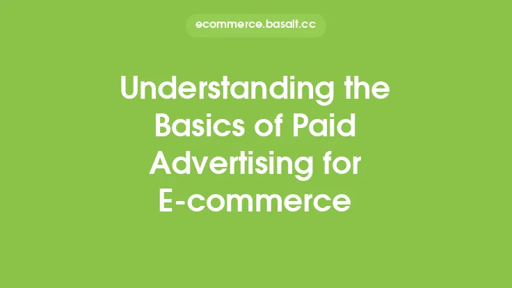 Understanding the Basics of Paid Advertising for E-commerce Thumbnail