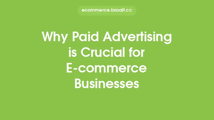 Why Paid Advertising is Crucial for E-commerce Businesses Thumbnail